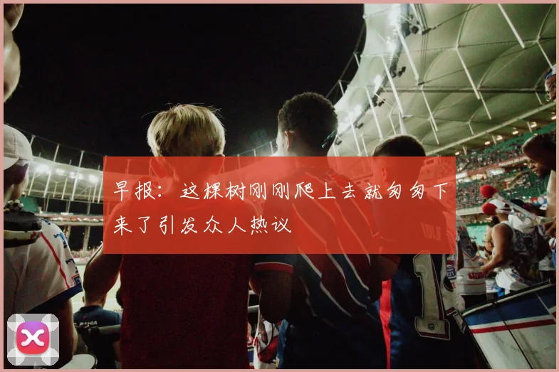 早报：这棵树刚刚爬上去就匆匆下来了引发众人热议