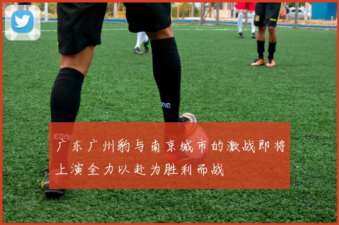 广东广州豹与南京城市的激战即将上演全力以赴为胜利而战