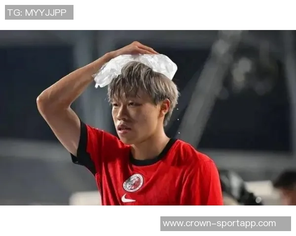 国安新援茹子楠与邓捷夫加盟助力球队防线升级